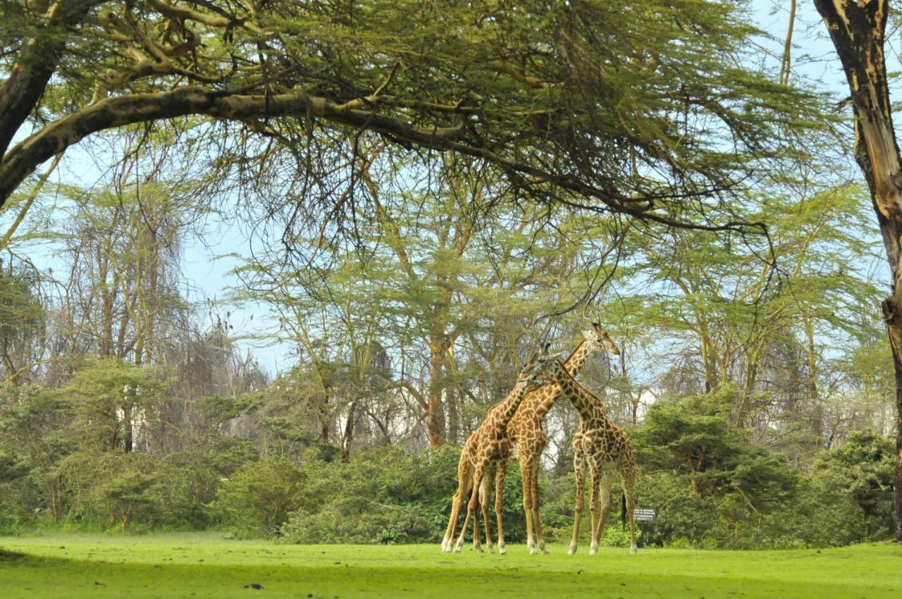 Lake Naivasha Sopa Resort Exterior foto